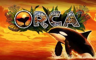 Orca slot 400x250 1 1